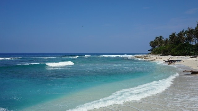 Ly Son marine reserve area established - ảnh 1